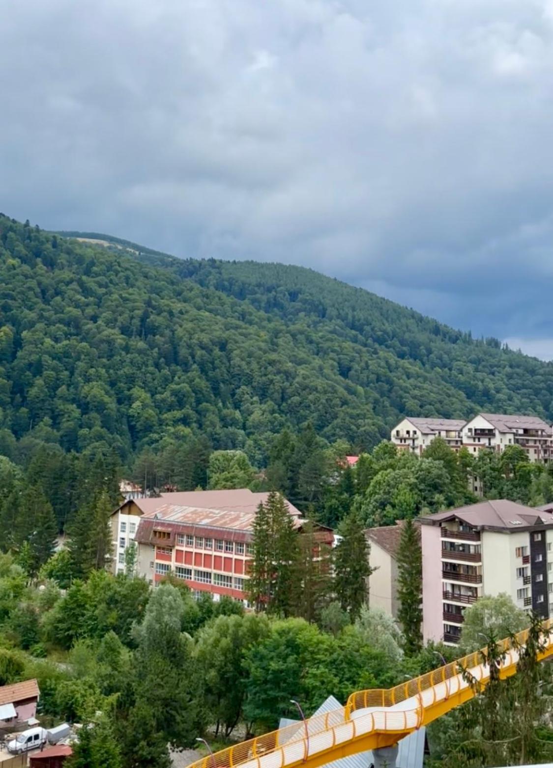 Alpine Line Studio Sinaia Exteriör bild